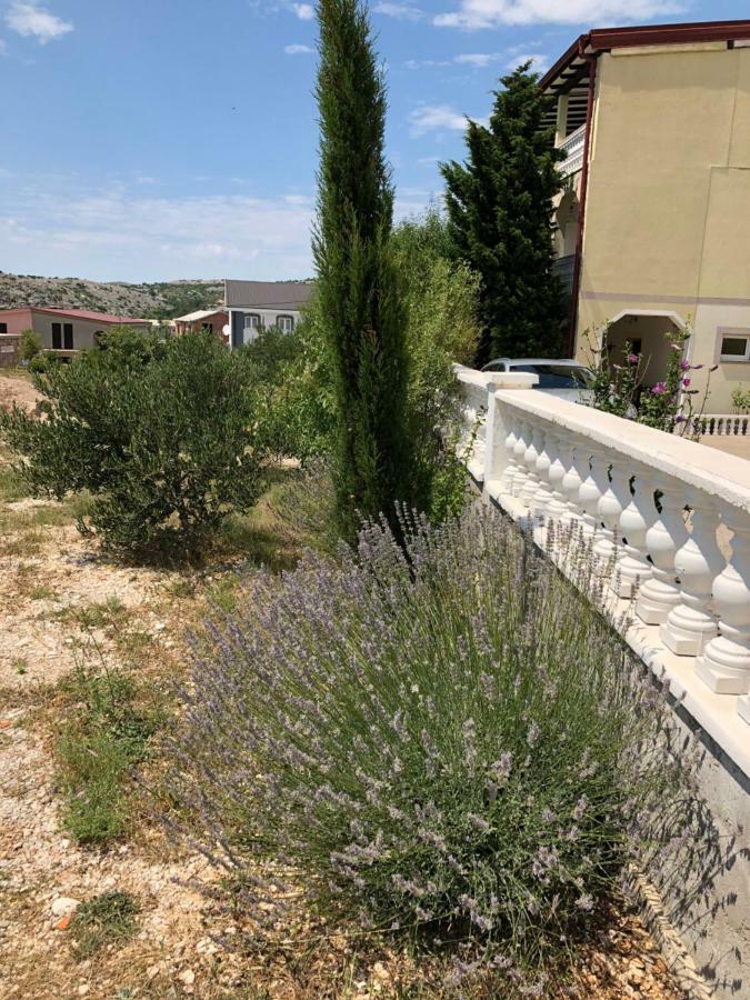 Apartmani Gabi Cesarica Exterior foto